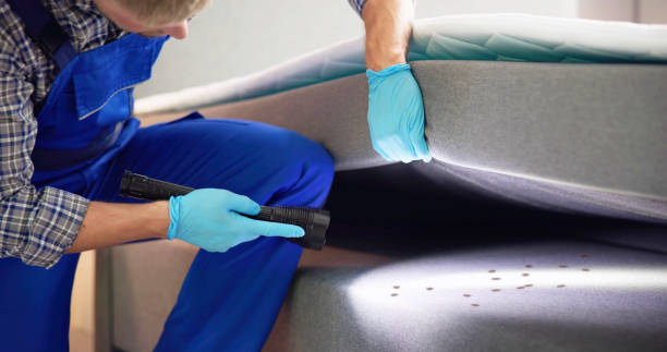 Best Bed Bug Extermination  in Tornillo, TX