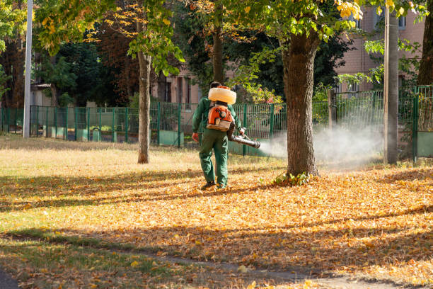 Best Pest Inspection Near Me  in Tornillo, TX