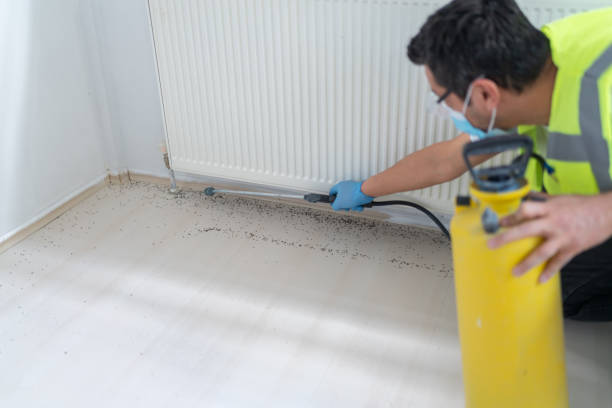 Trusted Tornillo, TX Pest Control Experts